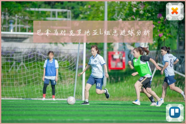 巴拿马对克罗地亚L组总进球分析