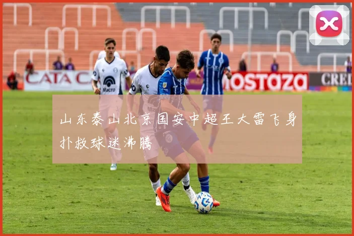 山东泰山北京国安中超王大雷飞身扑救球迷沸腾