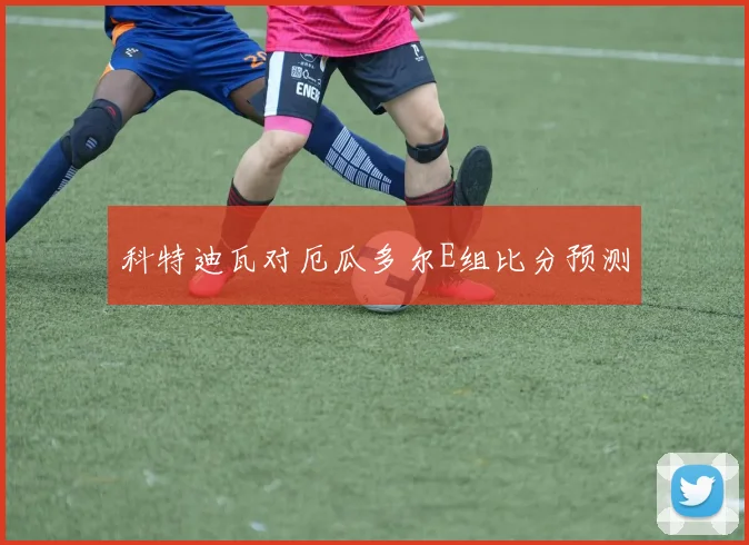 科特迪瓦对厄瓜多尔E组比分预测