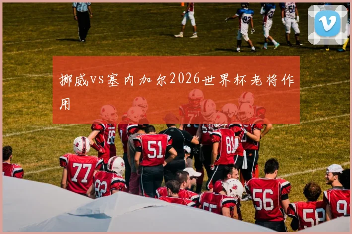 挪威vs塞内加尔2026世界杯老将作用