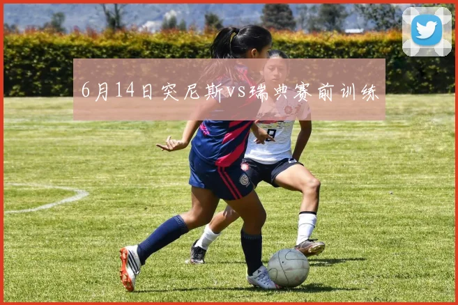 6月14日突尼斯vs瑞典赛前训练