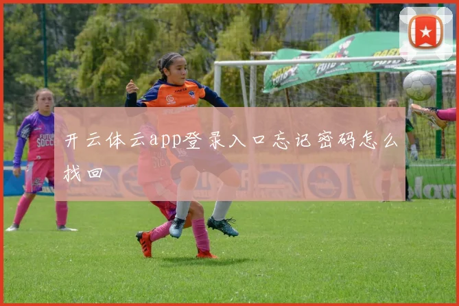 开云体云app登录入口忘记密码怎么找回