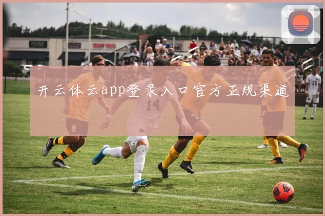 开云体云app登录入口官方正规渠道
